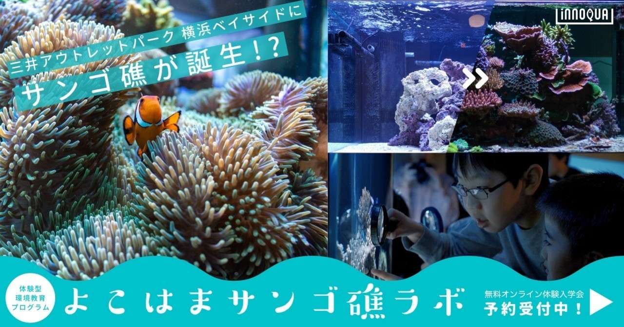 6 27 土 よこはまサンゴ礁ラボ体験入学会 イベントレポート イノカ Note