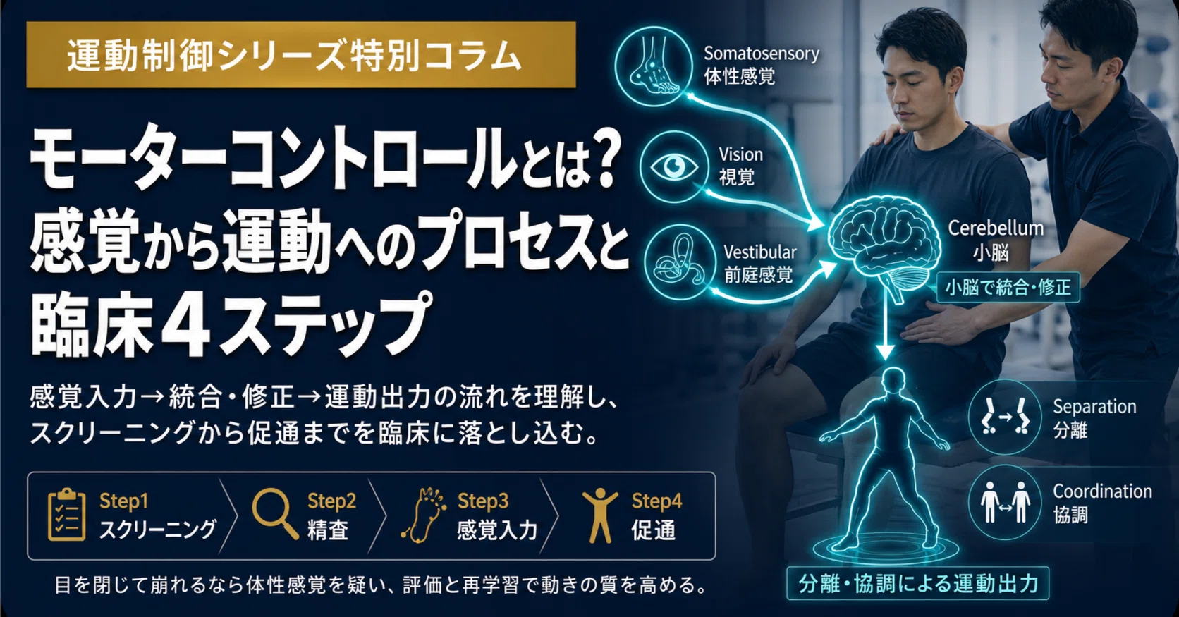 モーターコントロールとは？感覚から運動へのプロセスと臨床4ステップ