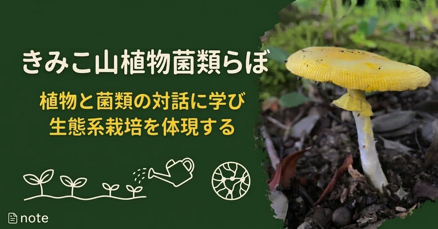 キタマゴタケとの再会が後押ししてくれた、Instagramで「きのこの美