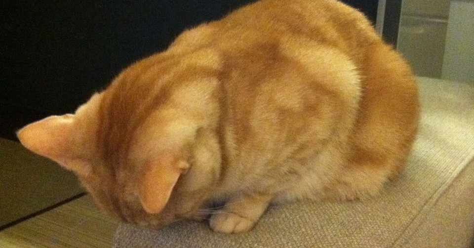 ツインレイ男性の過去にせまる ろけっつ Note