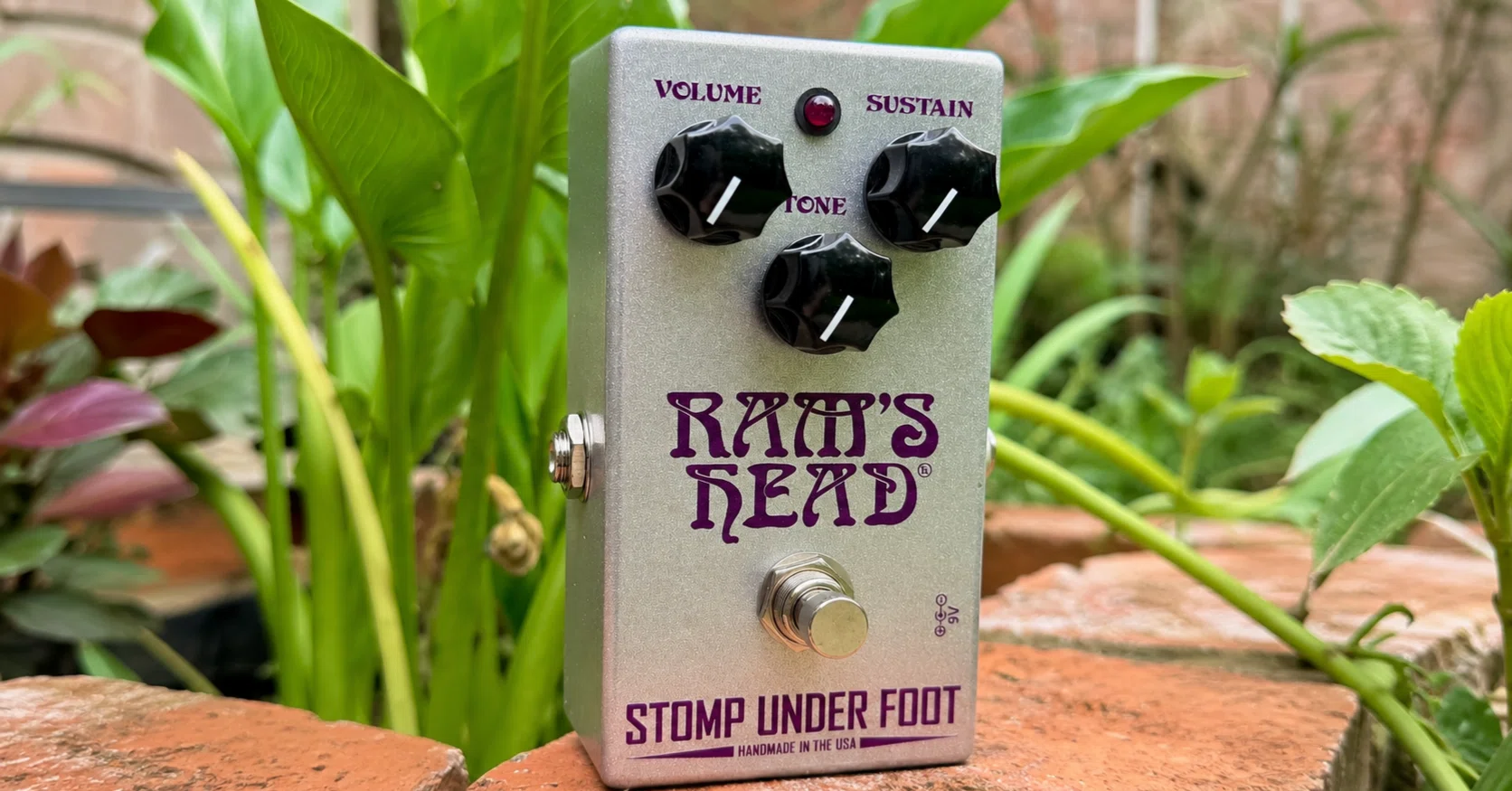 Gear Review] Direct Import from the US via Reverb. Why the STOMP