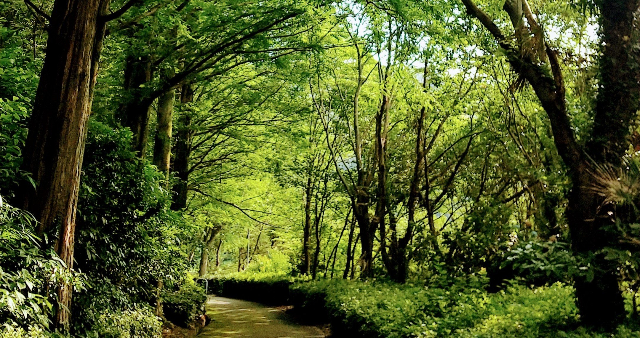 生きてるだけで丸儲け って名言すぎる Tsukuyomi Haru Note