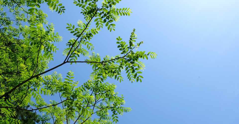 自己紹介 山形で 本業と副業と 澤村千明 Note