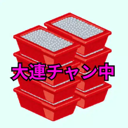 5スロから始まるライター生活