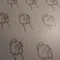 柏手セキレイ