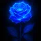 青薔薇