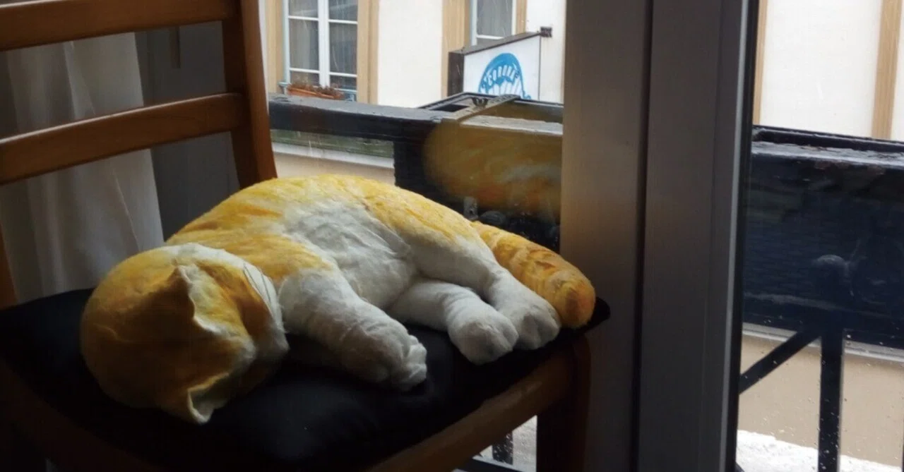 芸術の都から京の都へ～ 眠れる獅子展に眠りねこ ただいま補修中