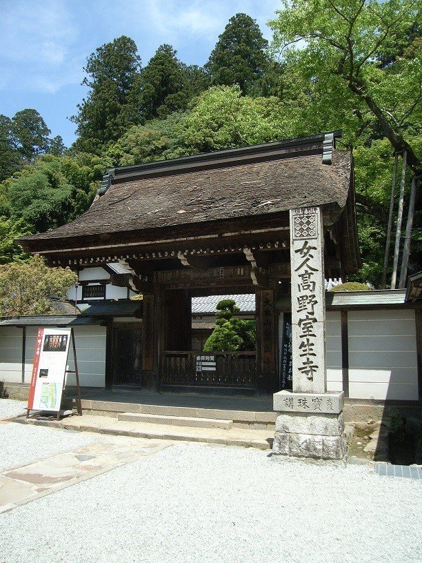 伊神神宮と太陽の道”レイライン”ーー神道国仕掛けの謎を解く