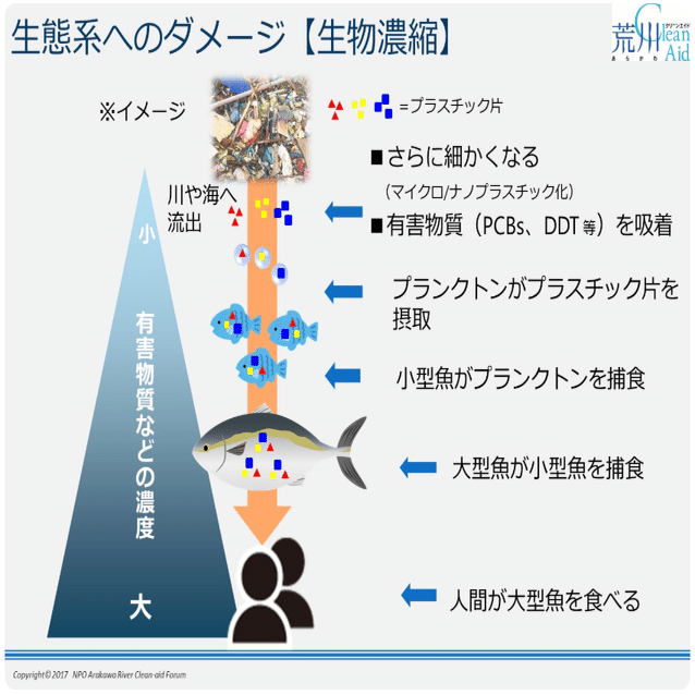 プラスチックの人体への悪影響