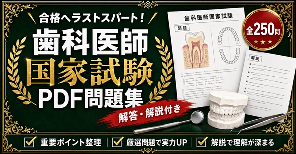 歯科医師国家試験 対策問題集 全2冊セット - 2026-07｜スタディルーム