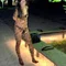Zentai_Masked