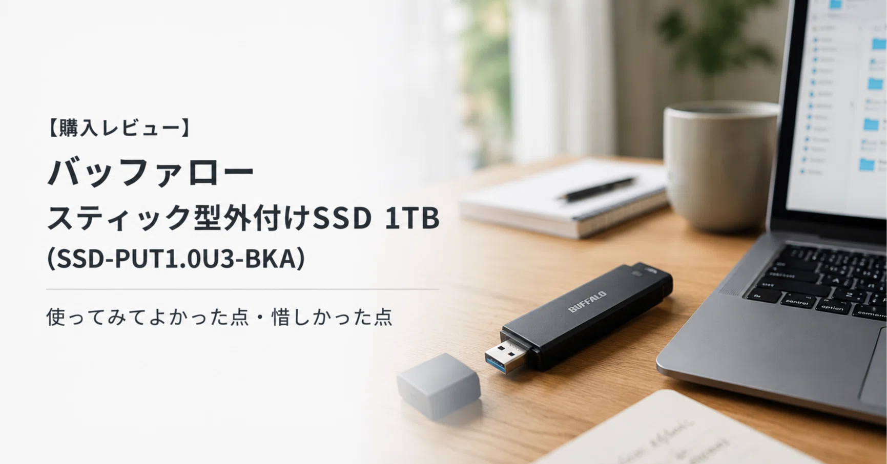 BUFFALO 外付けSSD スティック型 本体【1TB】 購入レビュー】バッファロー スティック型外付けSSD 1TB（SSD-PUT1.0U3