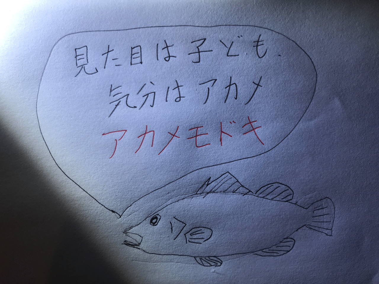 1分でわかる 怪魚 アカメ 宇呂草見 Note
