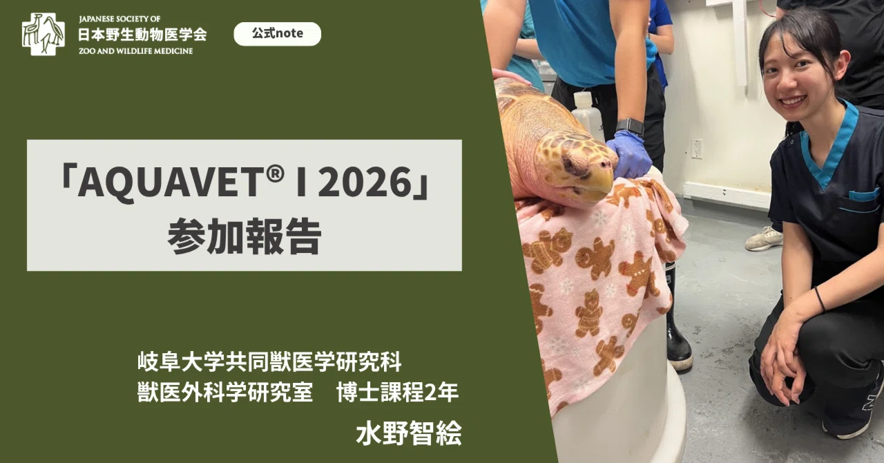 AQUAVET® I 2026」参加報告【会員活動紹介】｜【公式】日本野生動物医学会