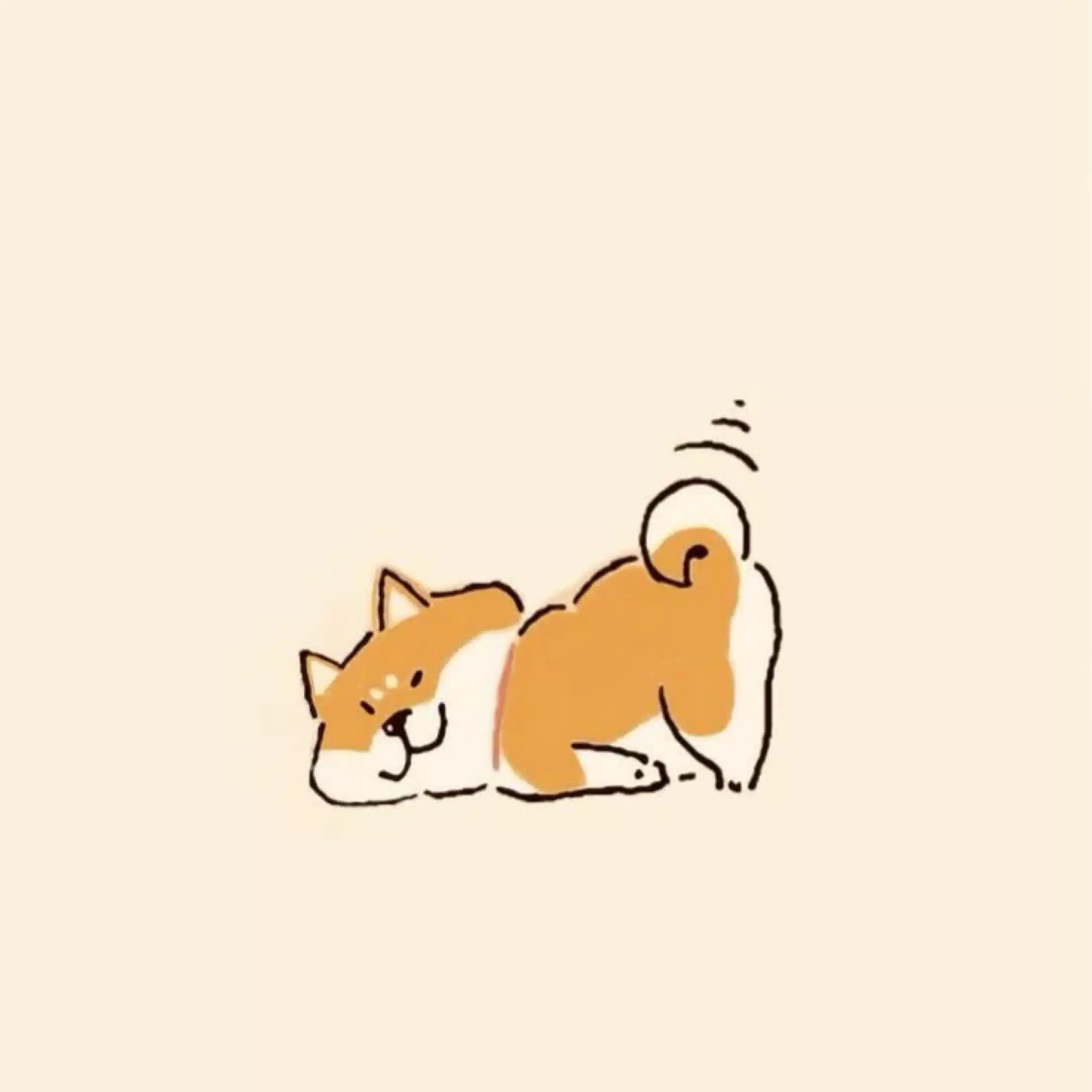 アッキー