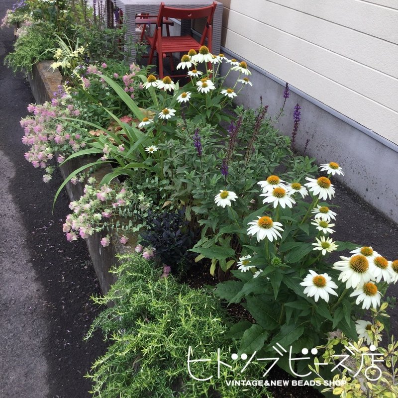 ぜひ花壇も見てください ヒトツブビーズ店店主 Note