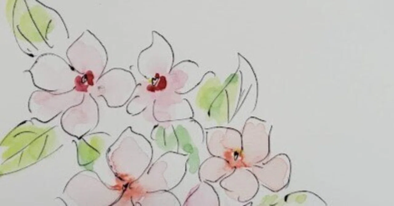 7月13日】お花🌸ニチニチソウ（日々草）｜こうこ