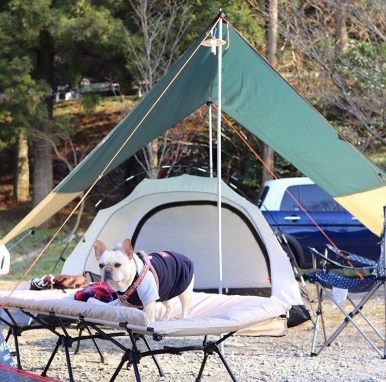 犬連れキャンプでの便利グッズpart2 Paw Campers Note
