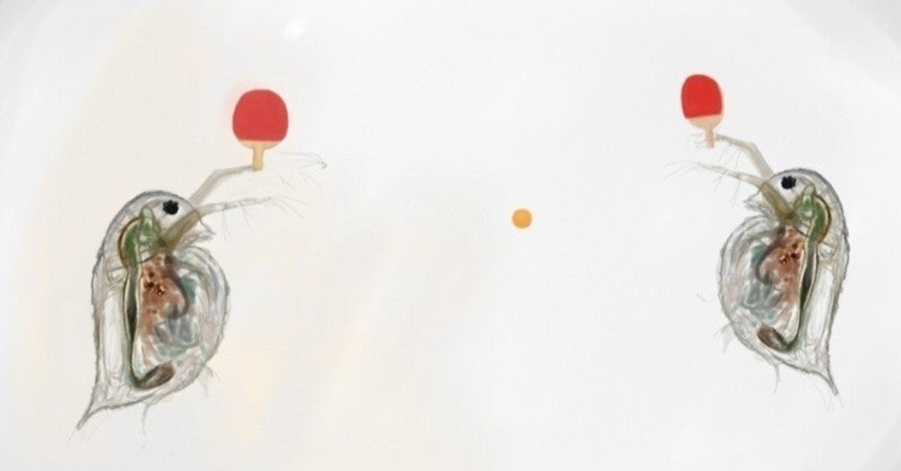 ミジンコってかわいいでしょ でしょ クロモ Note ミジンコってかわいいでしょ でしょ クロモ Note