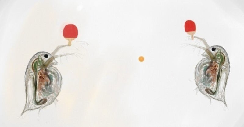 ミジンコってかわいいでしょ でしょ クロモ Note
