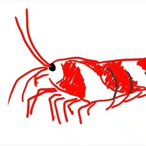 浜田夏彦