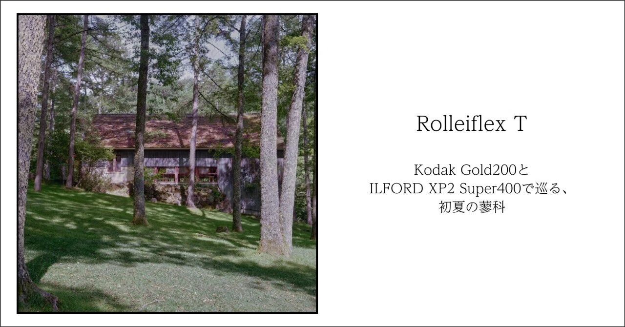 Rolleiflex T｜Kodak Gold 200とILFORD XP2 Super 400で巡る、初夏の蓼