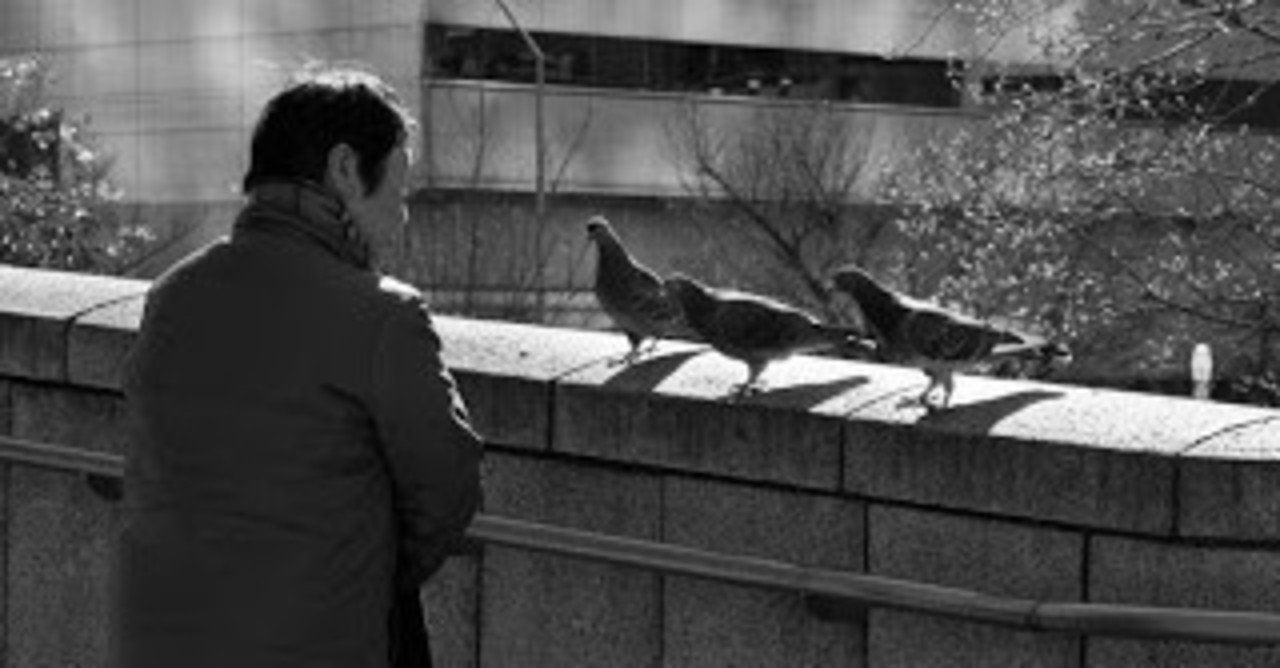 鳩と老婦人 レチナ Note