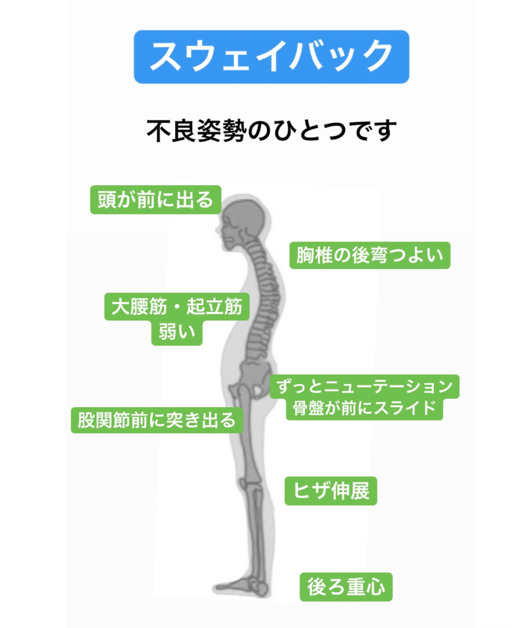 バック スウェイ あなたのぽっこりおなかは、スウェイバック姿勢が要因かも｜青山・表参道のパーソナルトレーニングジムくびれ美人