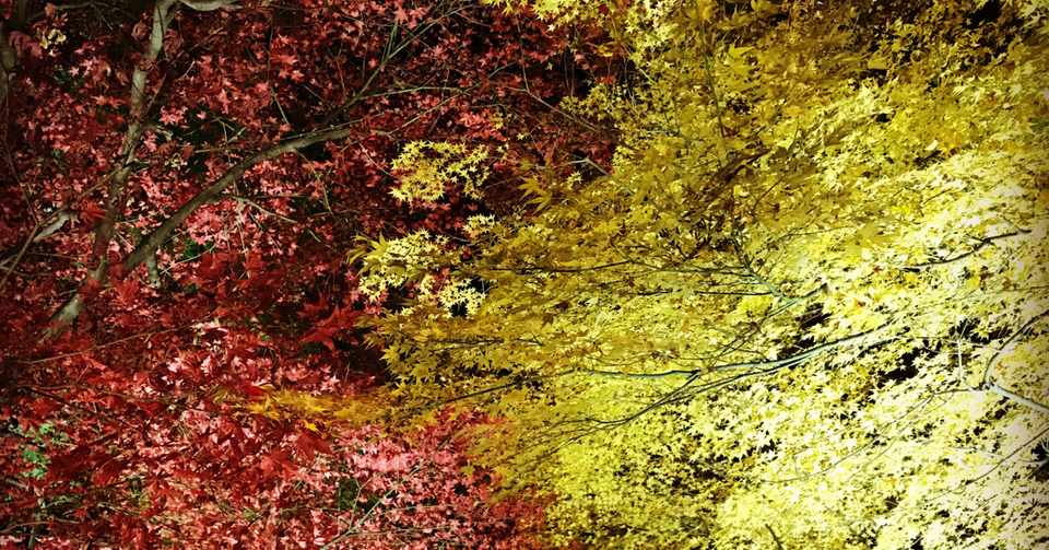 よそはよそ うちはうち Yoh Note