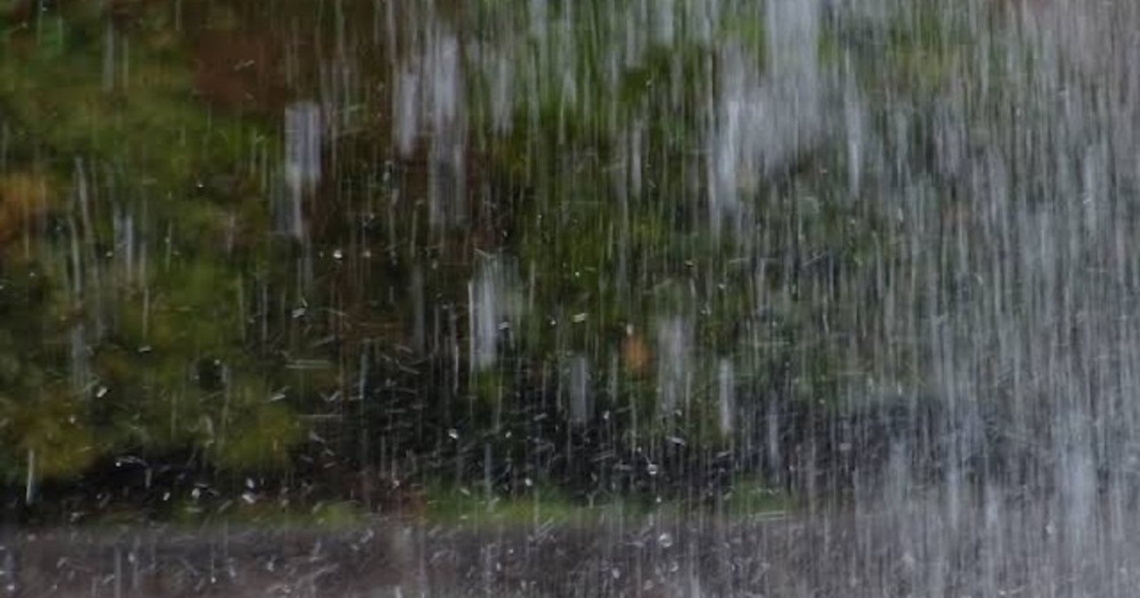 大雨に打たれる日 結季子 Web好き農家の嫁 Note