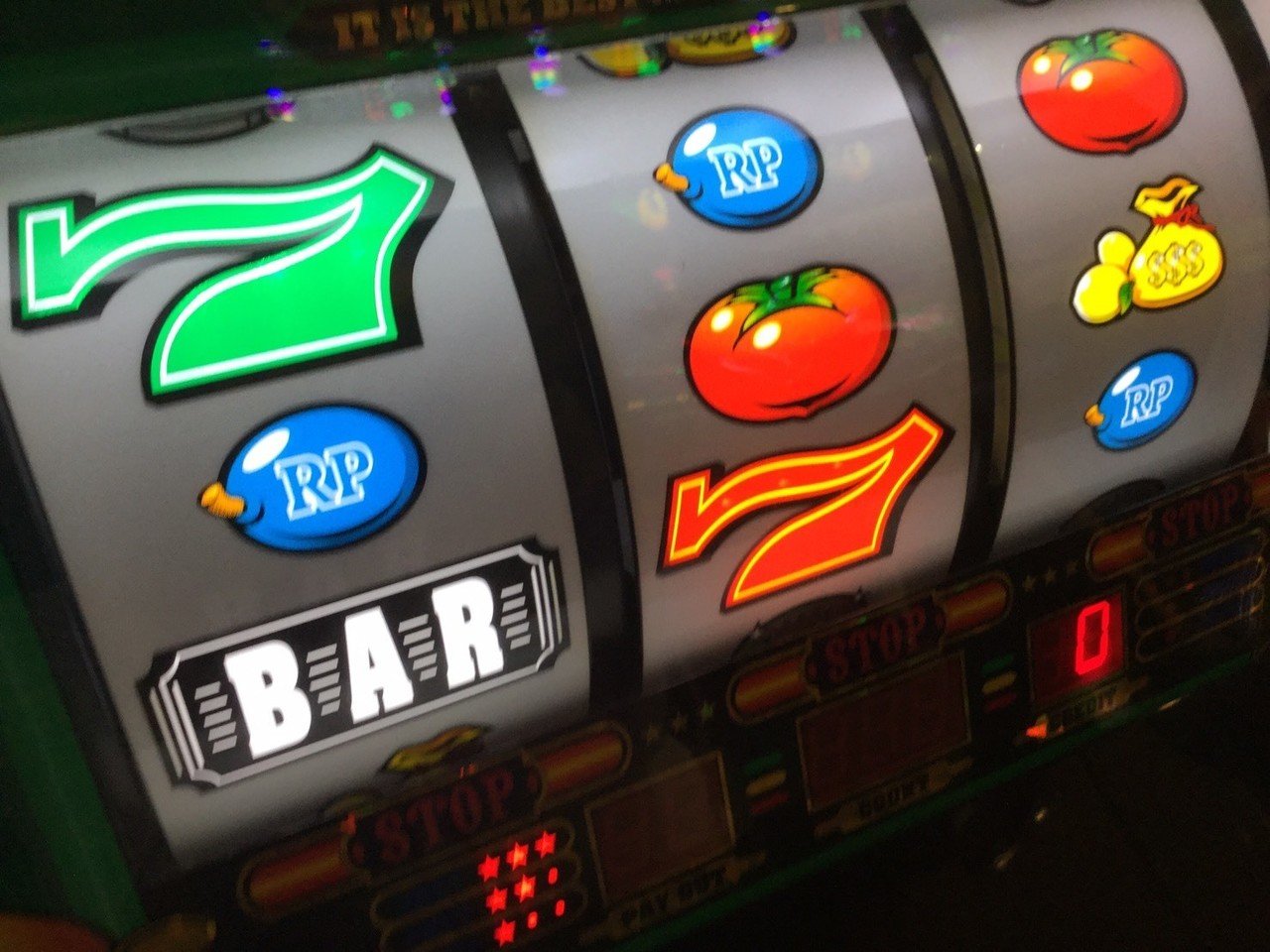 リノのすすめ(初心者編)｜ゆきちゃん