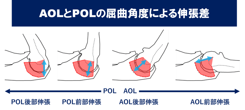 AOLPOLの伸張角度