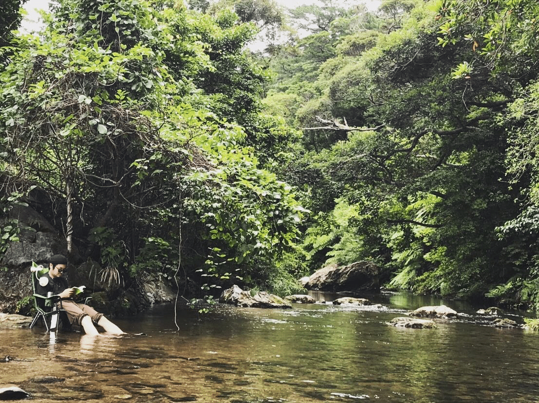 進化心理学と建築 仲里正周 セイシュウ 建築家 パパ Note