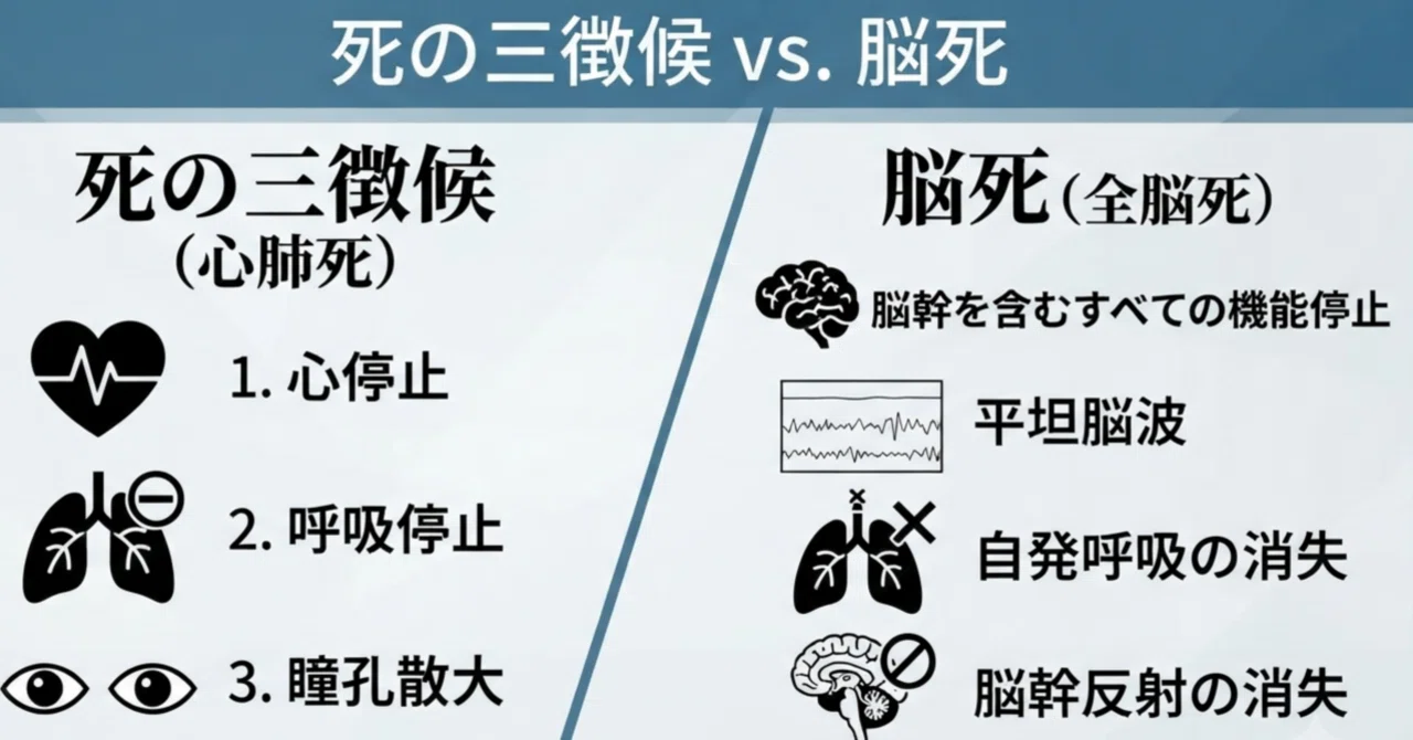 脳死 の 判定 基準