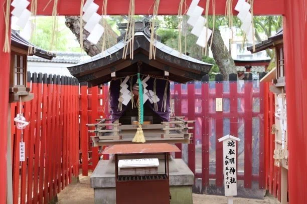 画像11