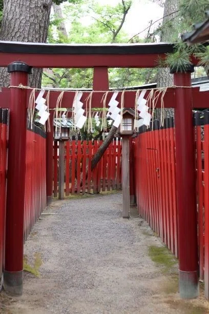 画像12