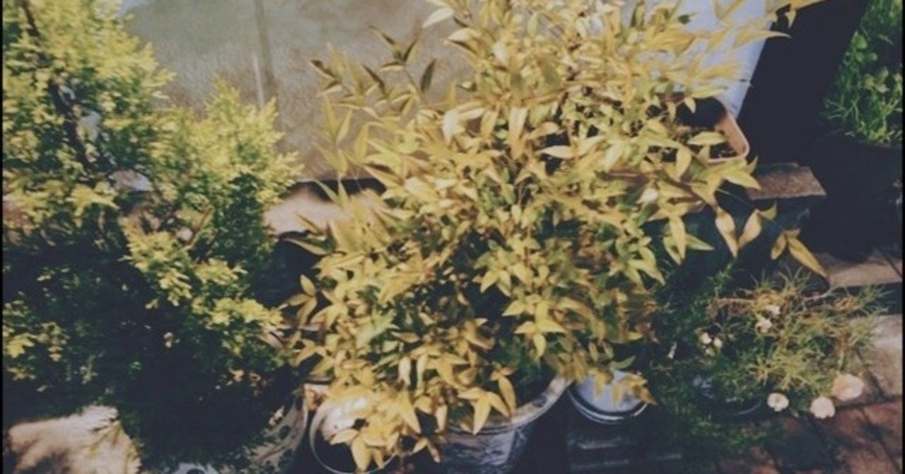 見返したいと思いますか やひろ Note 見返したいと思いますか やひろ Note