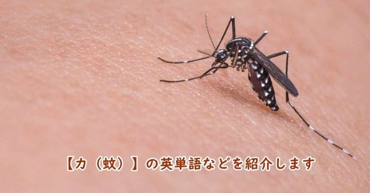 益虫 の新着タグ記事一覧 Note つくる つながる とどける