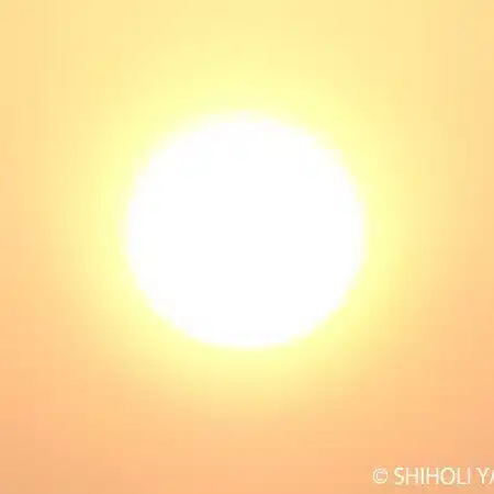 矢口 詩穗里 ｜ 藝術家