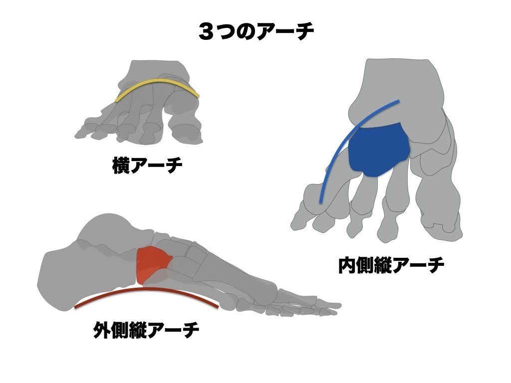 足裏のバネを鍛えよう L Fit Note