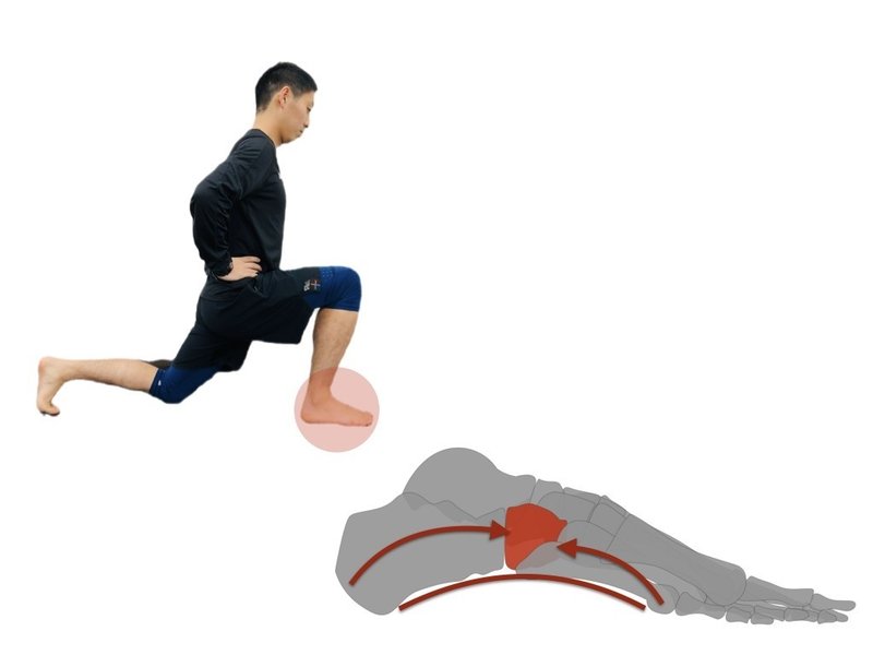 足裏のバネを鍛えよう L Fit Note 足裏のバネを鍛えよう L Fit Note