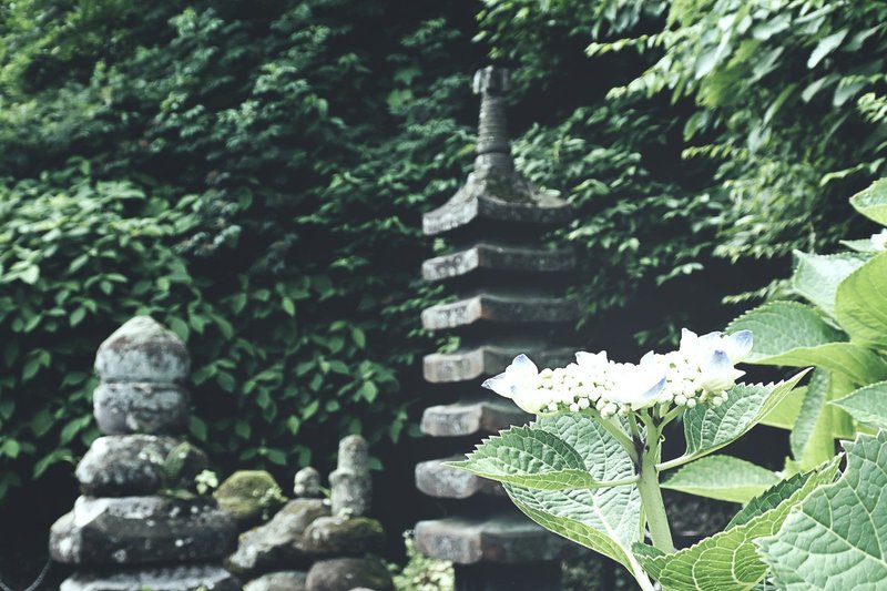 そうだ鎌倉 行こう 鎌倉紫陽花散歩 極楽寺坂切通し 古戦場で濡れん坊は昭和のオヤジ 06 03 09 30 スナップ寅さん Note そうだ鎌倉 行こう 鎌倉紫陽花散歩 極楽寺坂切通し 古戦場で濡れん坊は昭和のオヤジ 06 03 09 30 スナップ寅さん Note