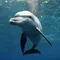 nina_travels