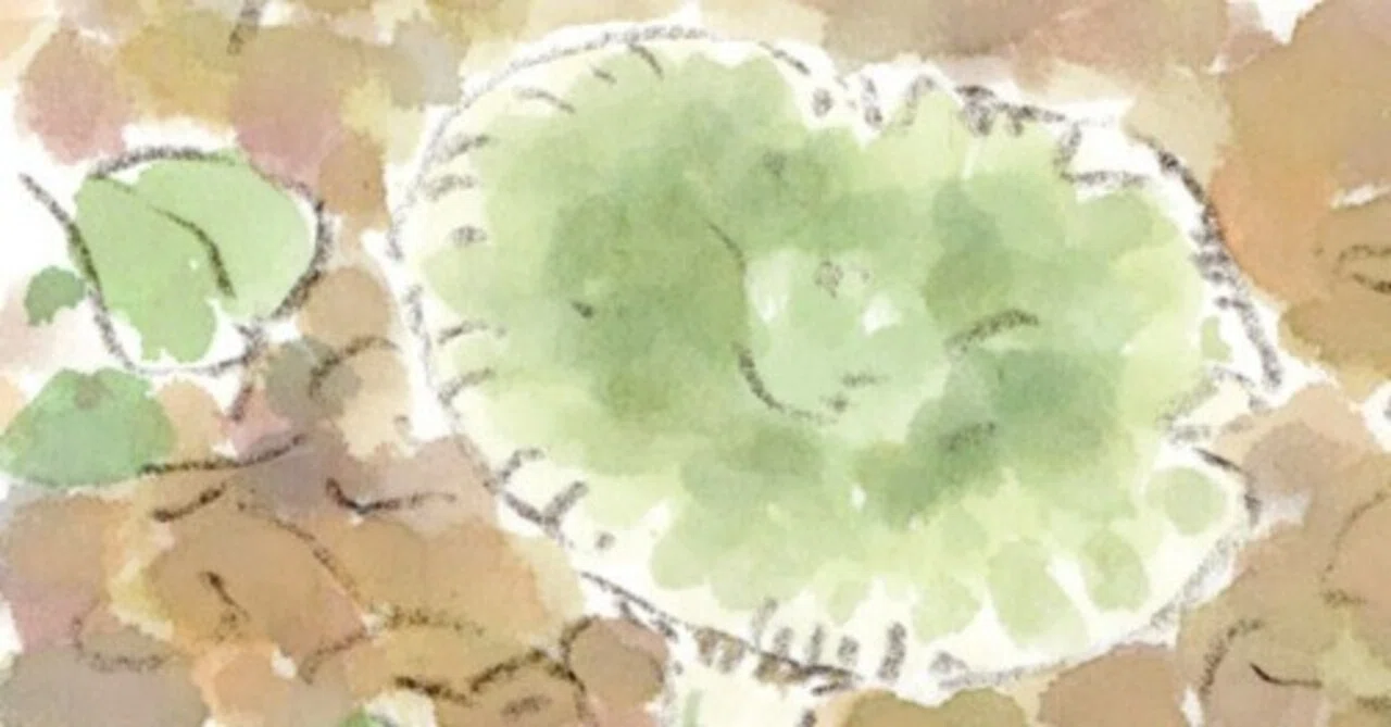 緑 きのこちゃん｜ほっこり絵日記
