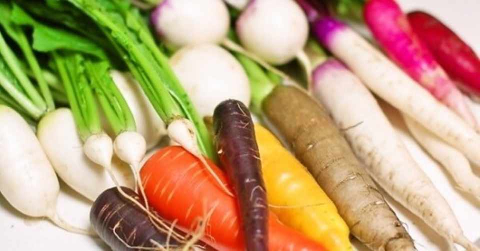 おいしくて おもしろい野菜たち 元エンジニアが野菜農家になった理由 仕事旅行社 Note