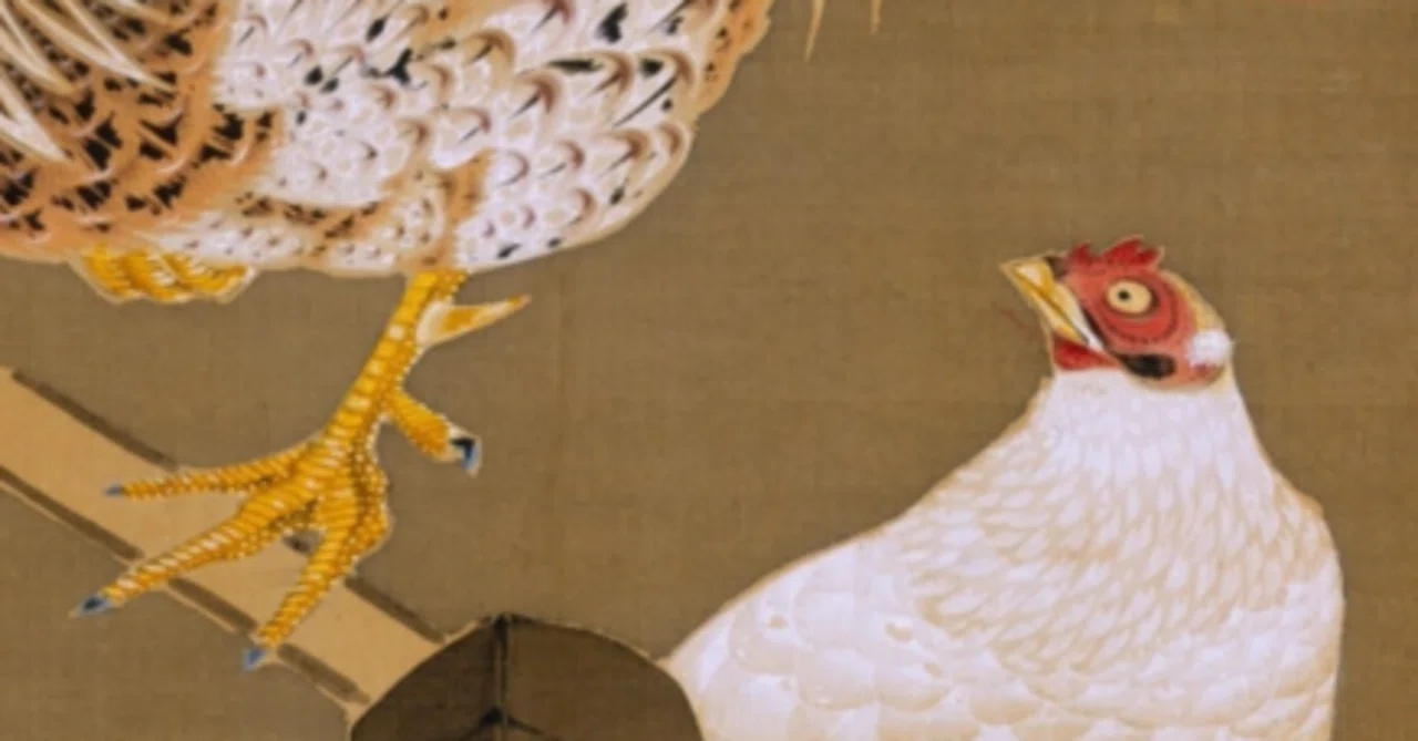 世界の美を見る【19】Hen and Rooster？｜ひすい