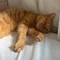風待ちDiary