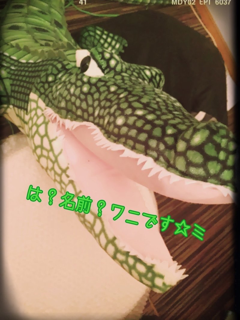 マガジンのカバー画像