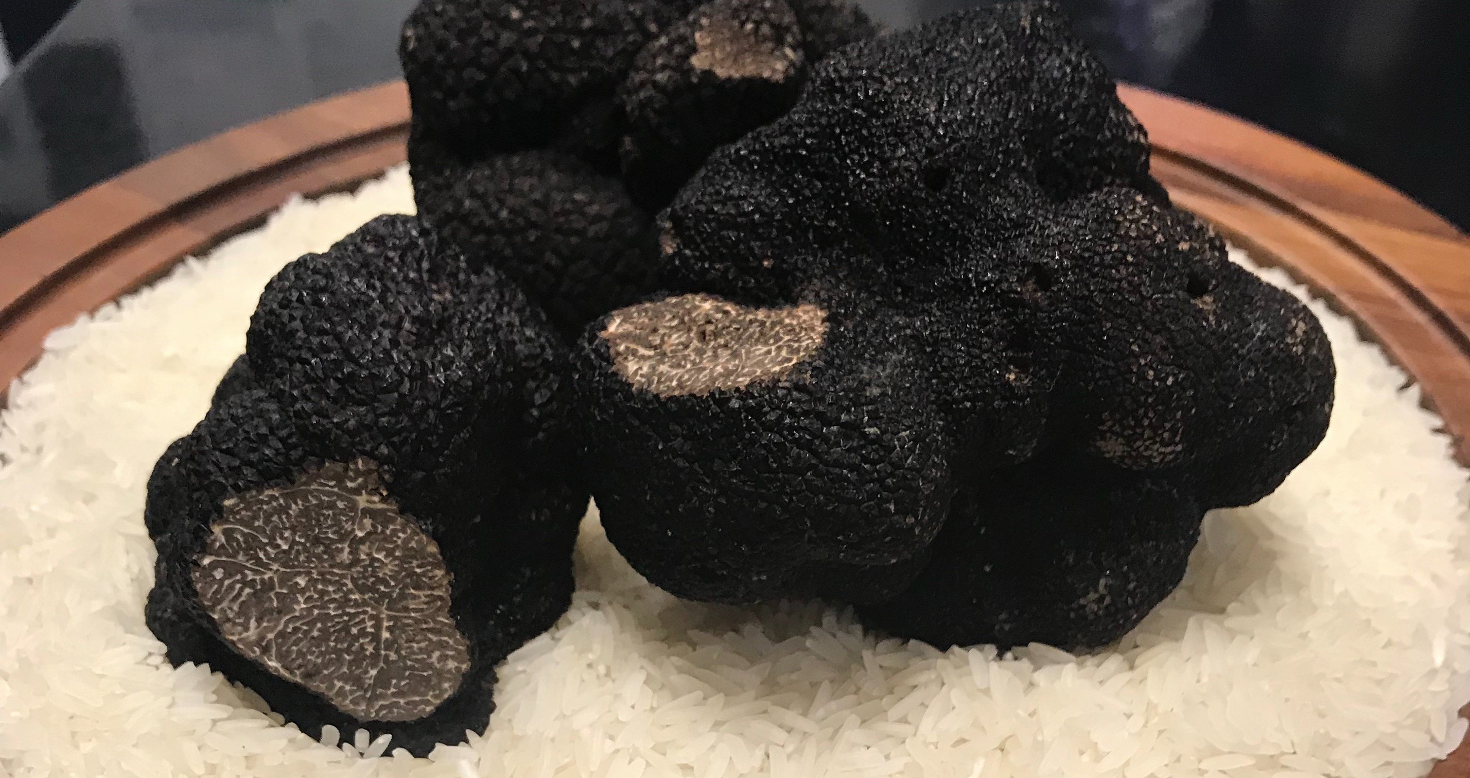 20686ff5a67a58e2a7a367096c6aac