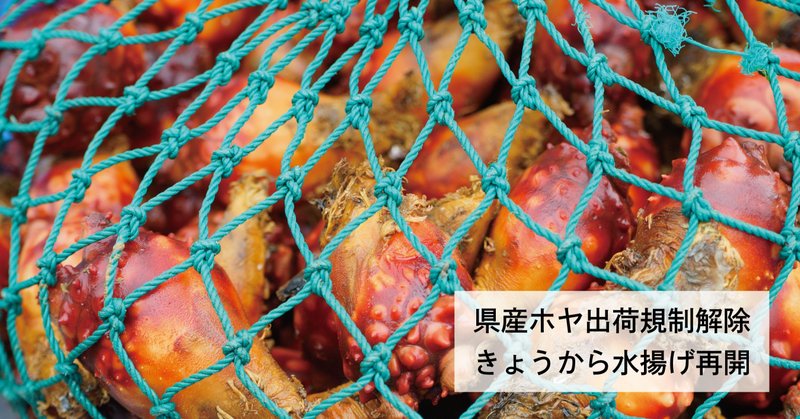 麻痺性貝毒 の新着タグ記事一覧 Note つくる つながる とどける